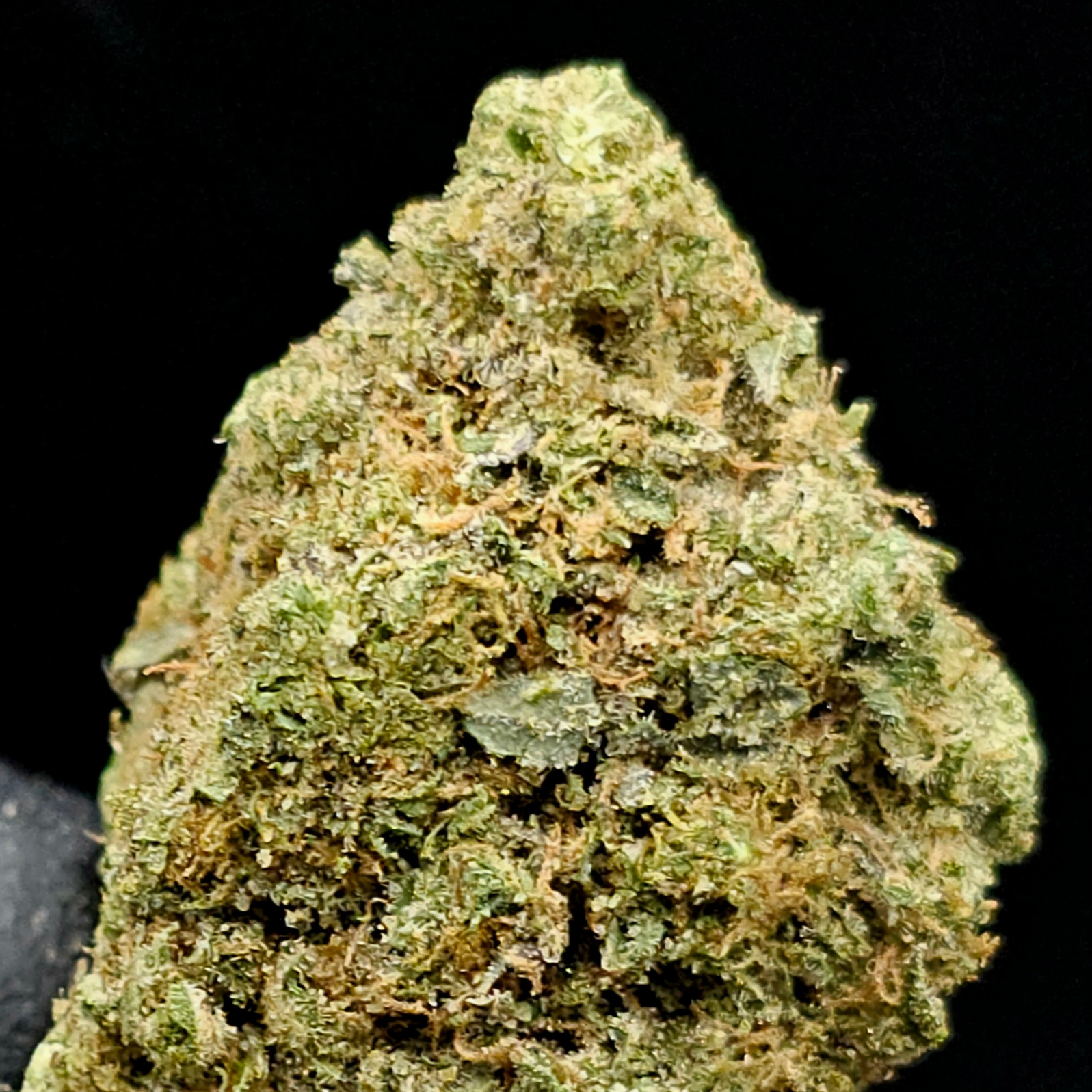 Hecate Gardens: Ghost Candy