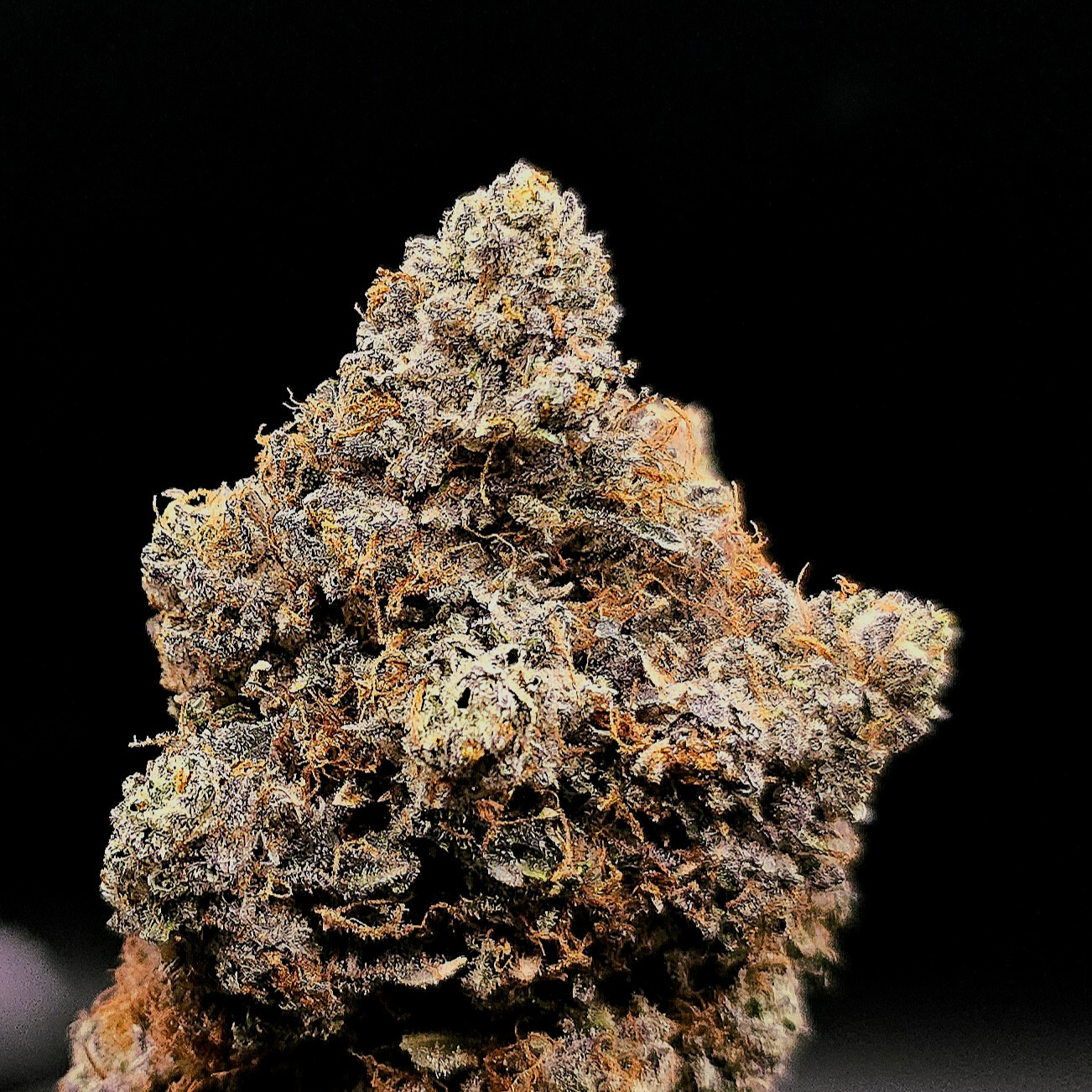 Oregon Roots: Obama Kush