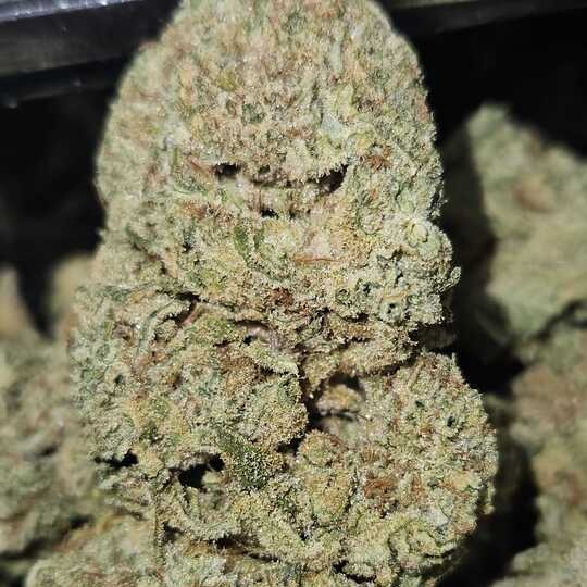 Bula Farms: Coco Crush