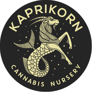 Kaprikorn: Jack Herer