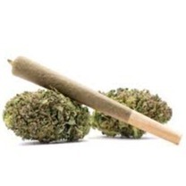 STICKS: Regular Runtz