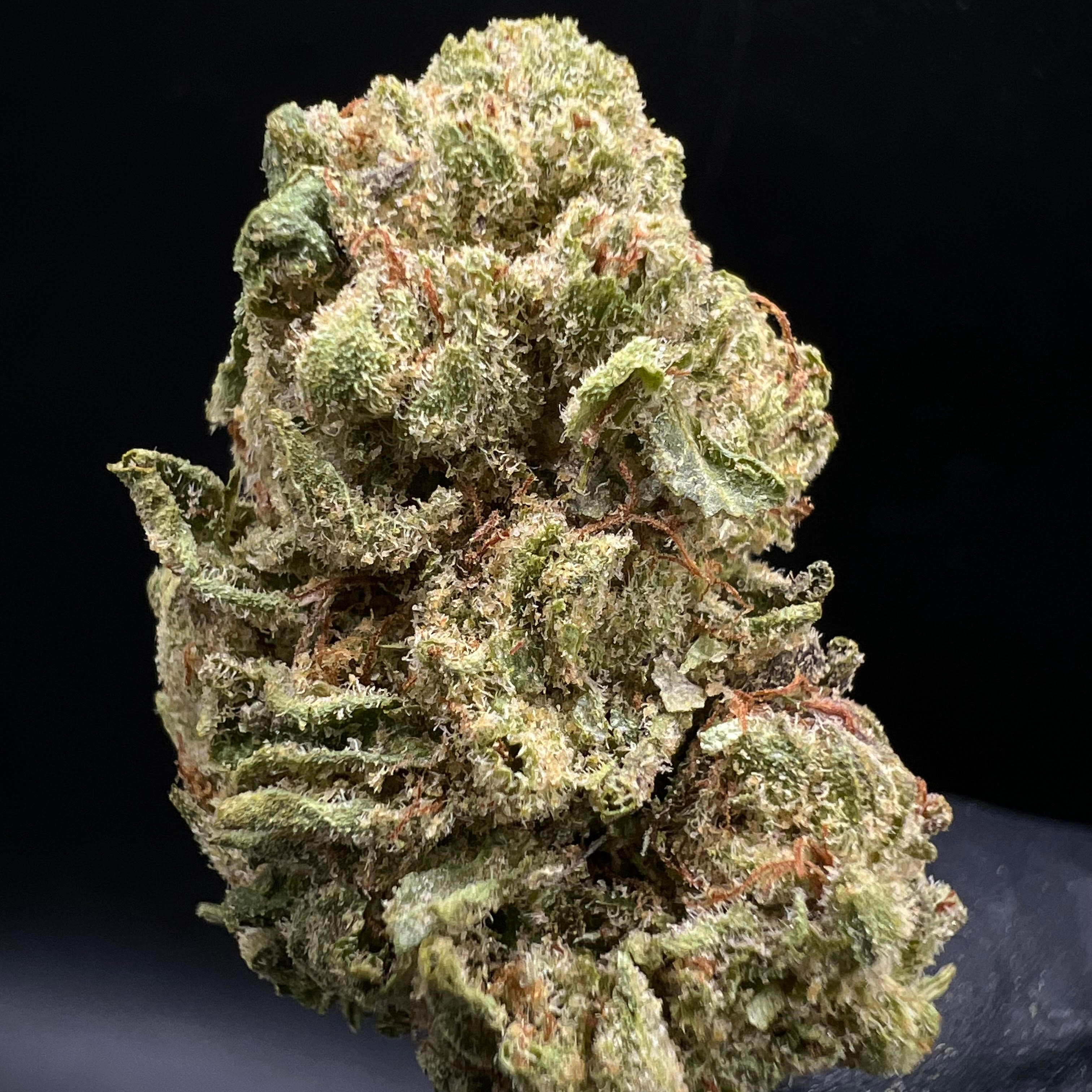 OreKron (Oregon): Runtz Popz