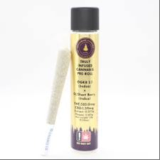 Entourage: Blueberry Muffins X Berry Gelatti