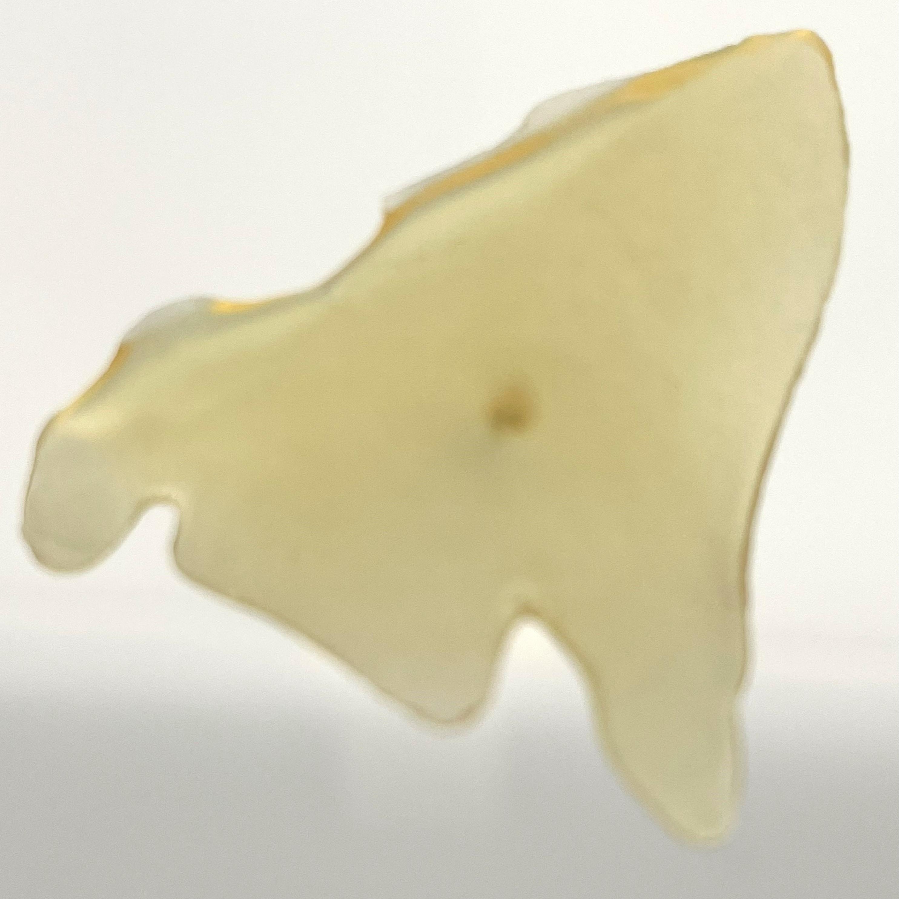 Self Made Farms: Sunshine - Shatter - Dirty Girl