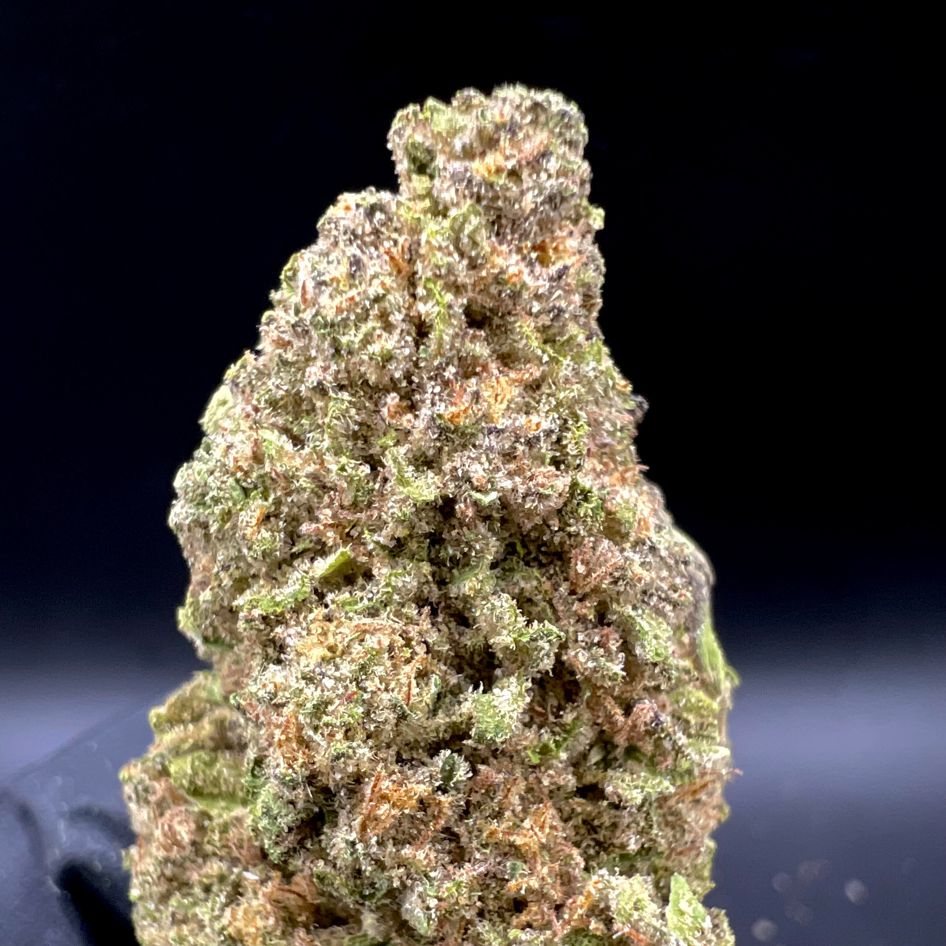 Williams Wonder Farms: Blueberry Muffin