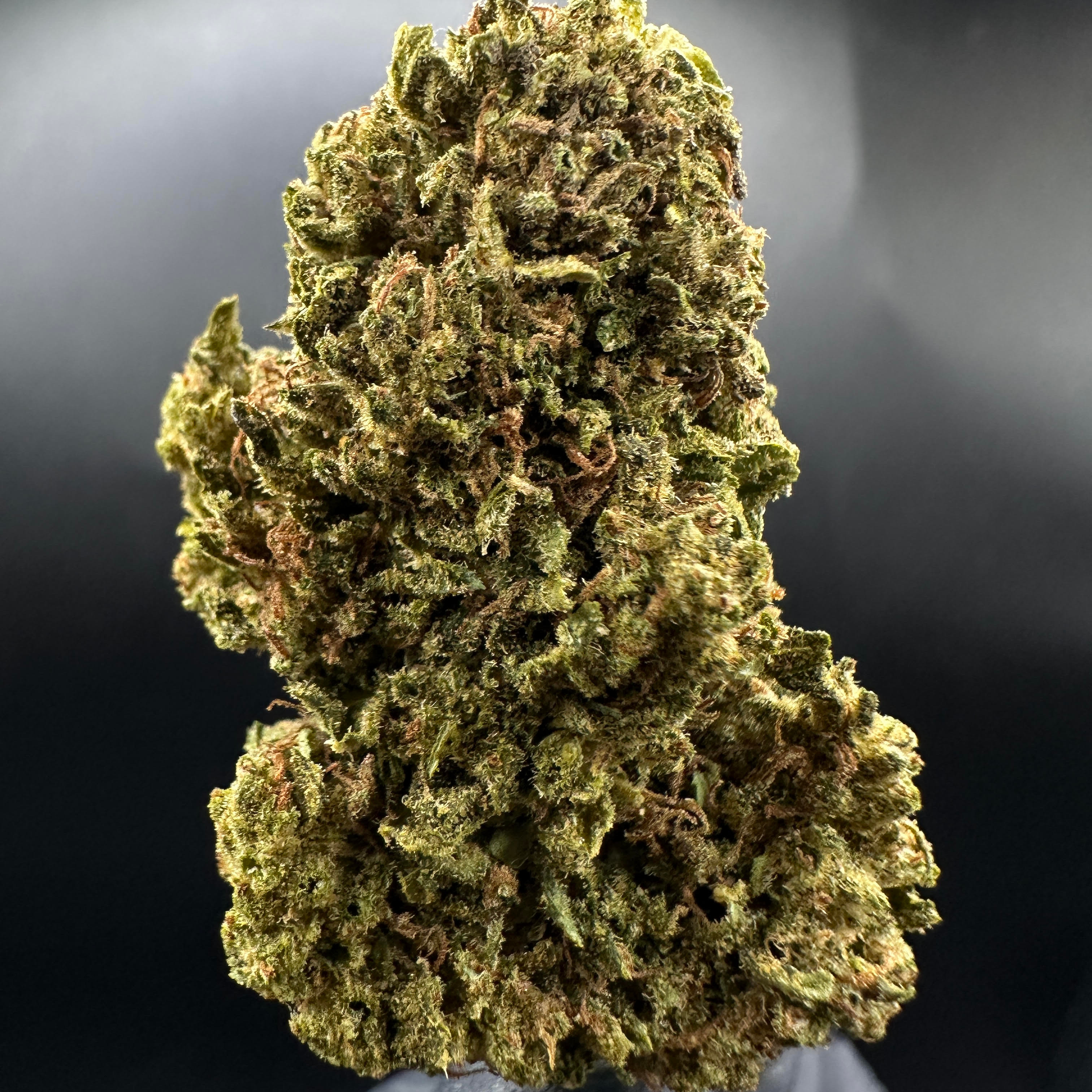 Williams Wonder Farms: Blue Suede Zookies