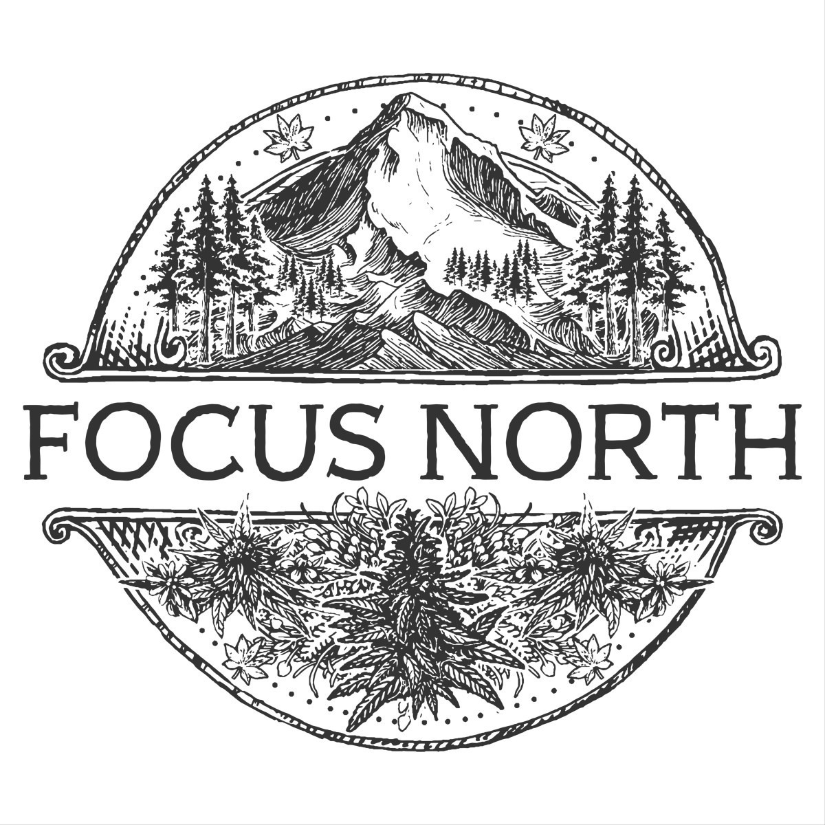 Focus North: Gelato