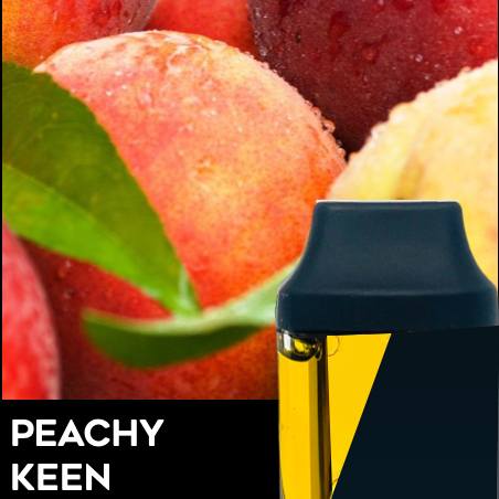 Elevate Holdings: Freshy - - Peachy Keen