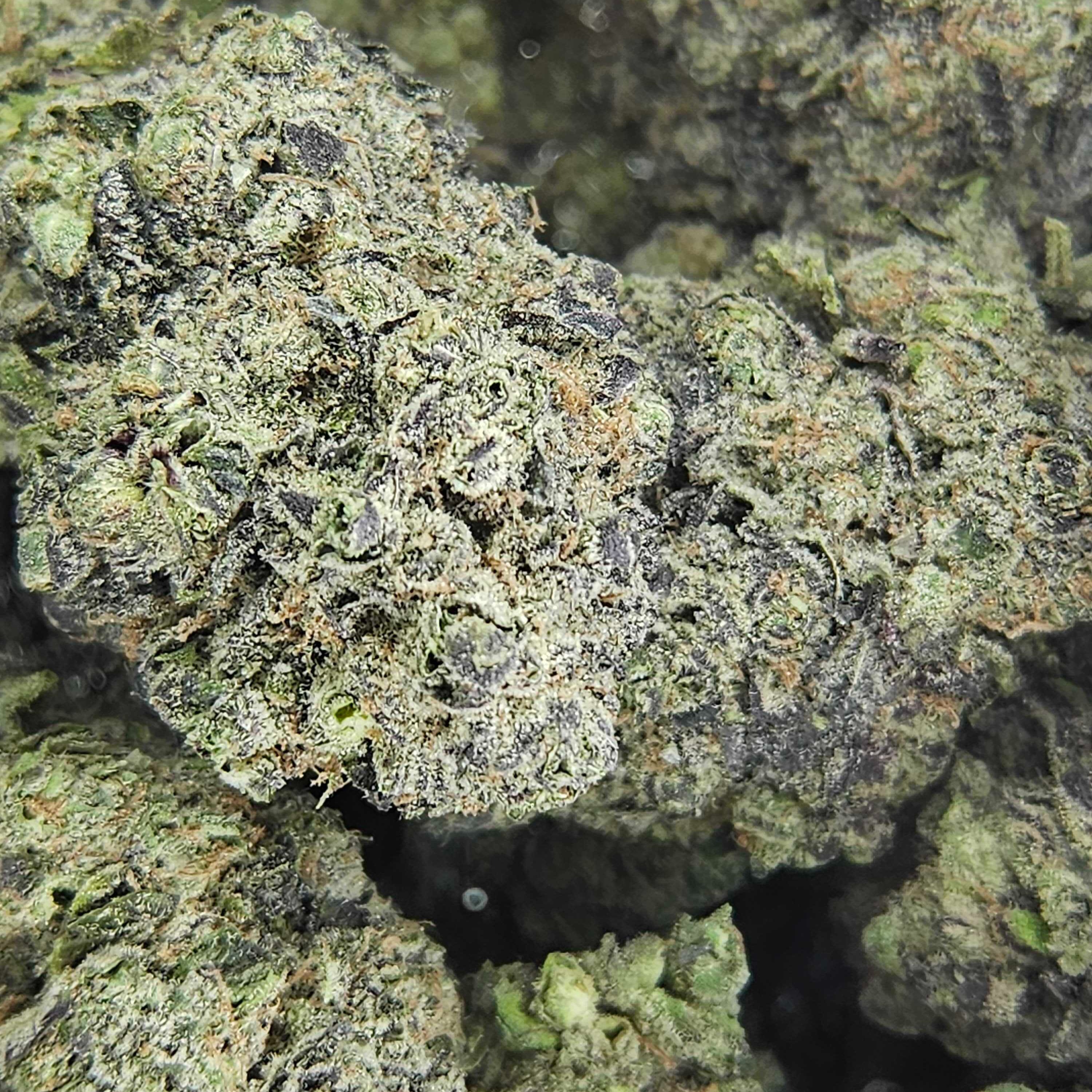 Alibi: Chem De LA Chem