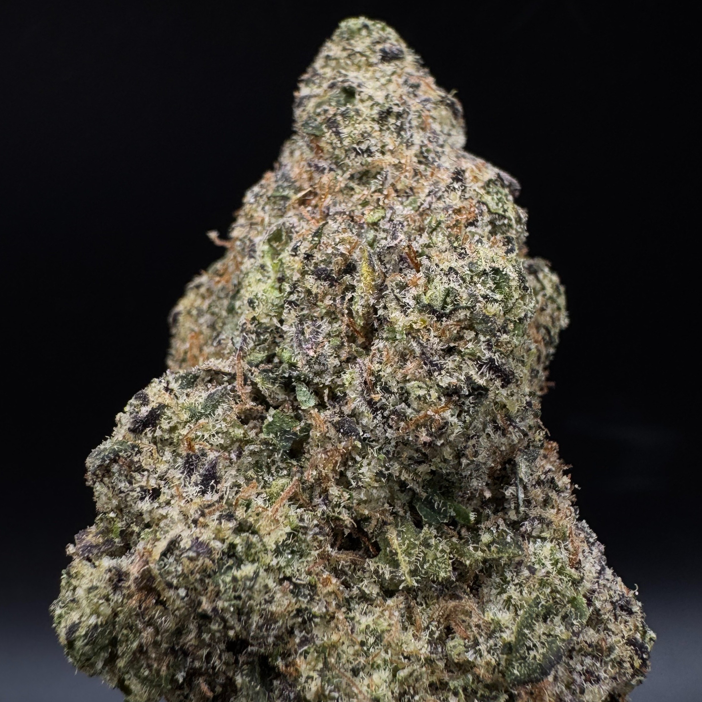 Midnight Fruit Company: *(MED) Hash Burger