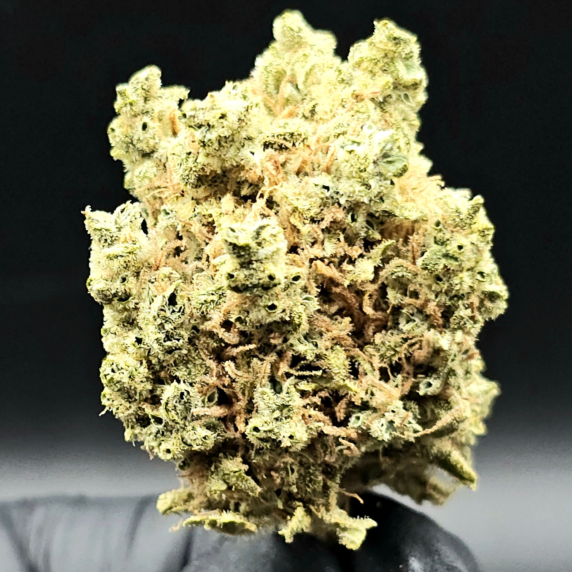 Hecate Gardens: Lemon Haze