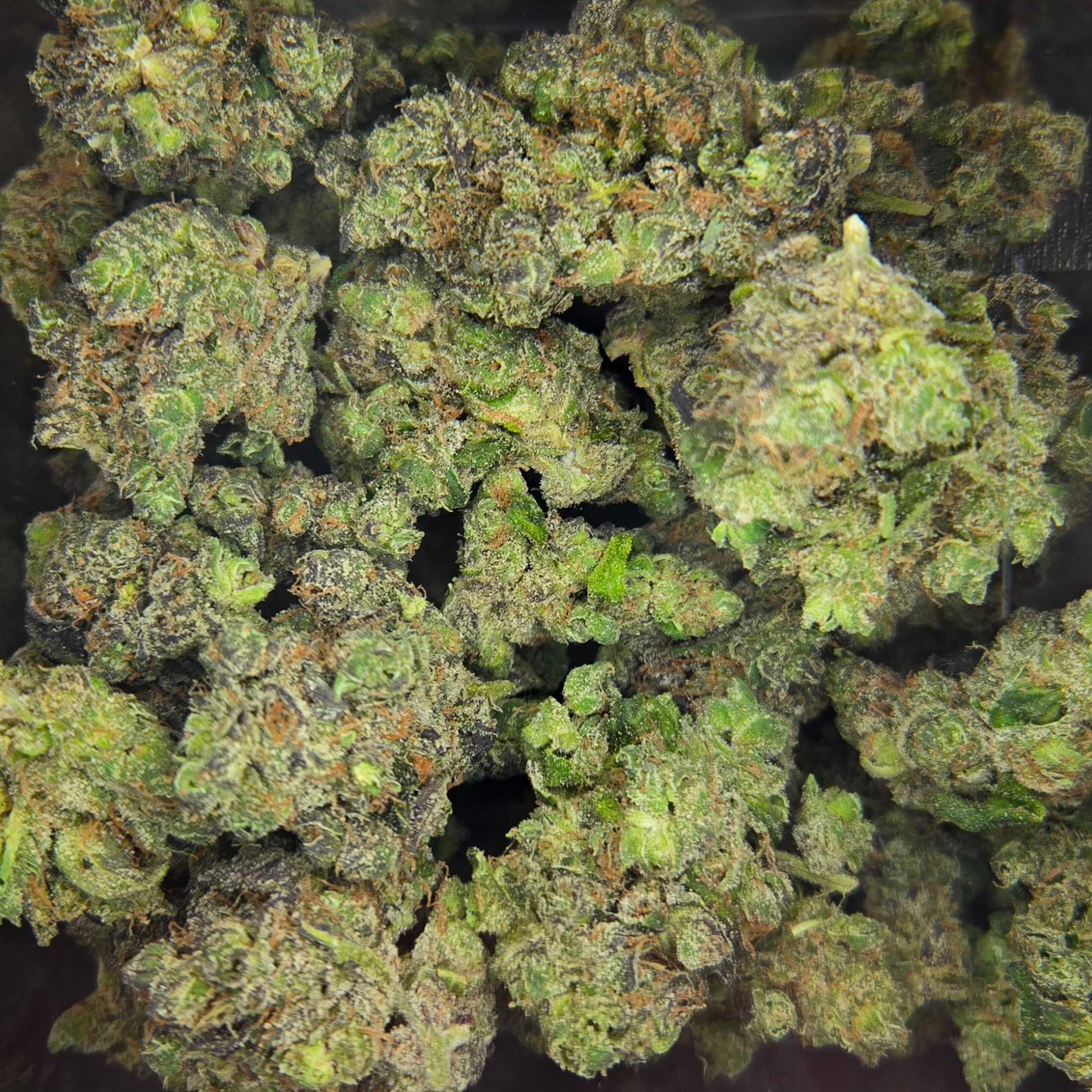 Rosebud Growers: Sour Gas