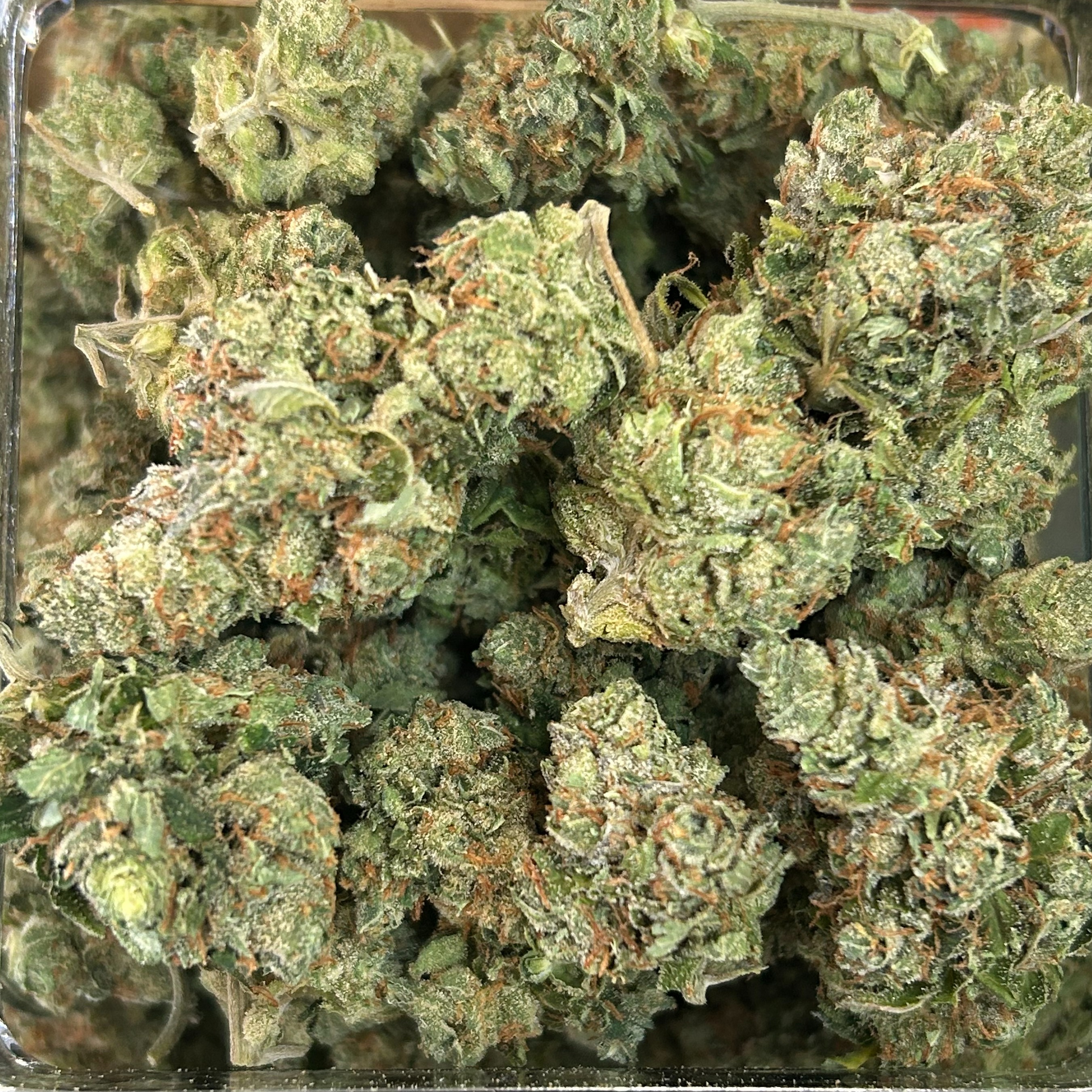 Baho Buds: Burnt By Baho Buds