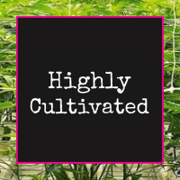 Highly Cultivated: Fire OG