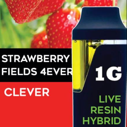 Freshy: Strawberry Fields