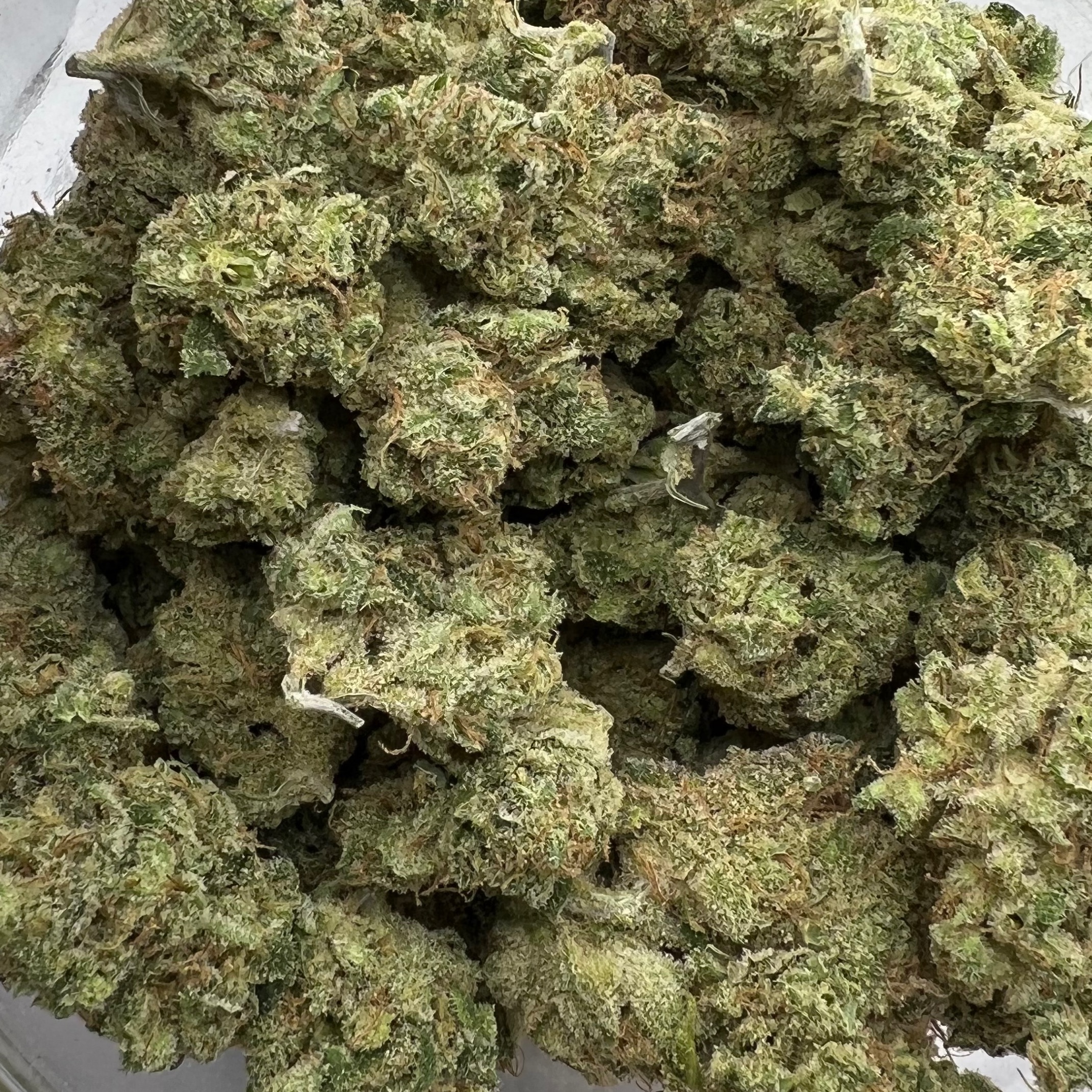 NUGZ FARM: Blueberry