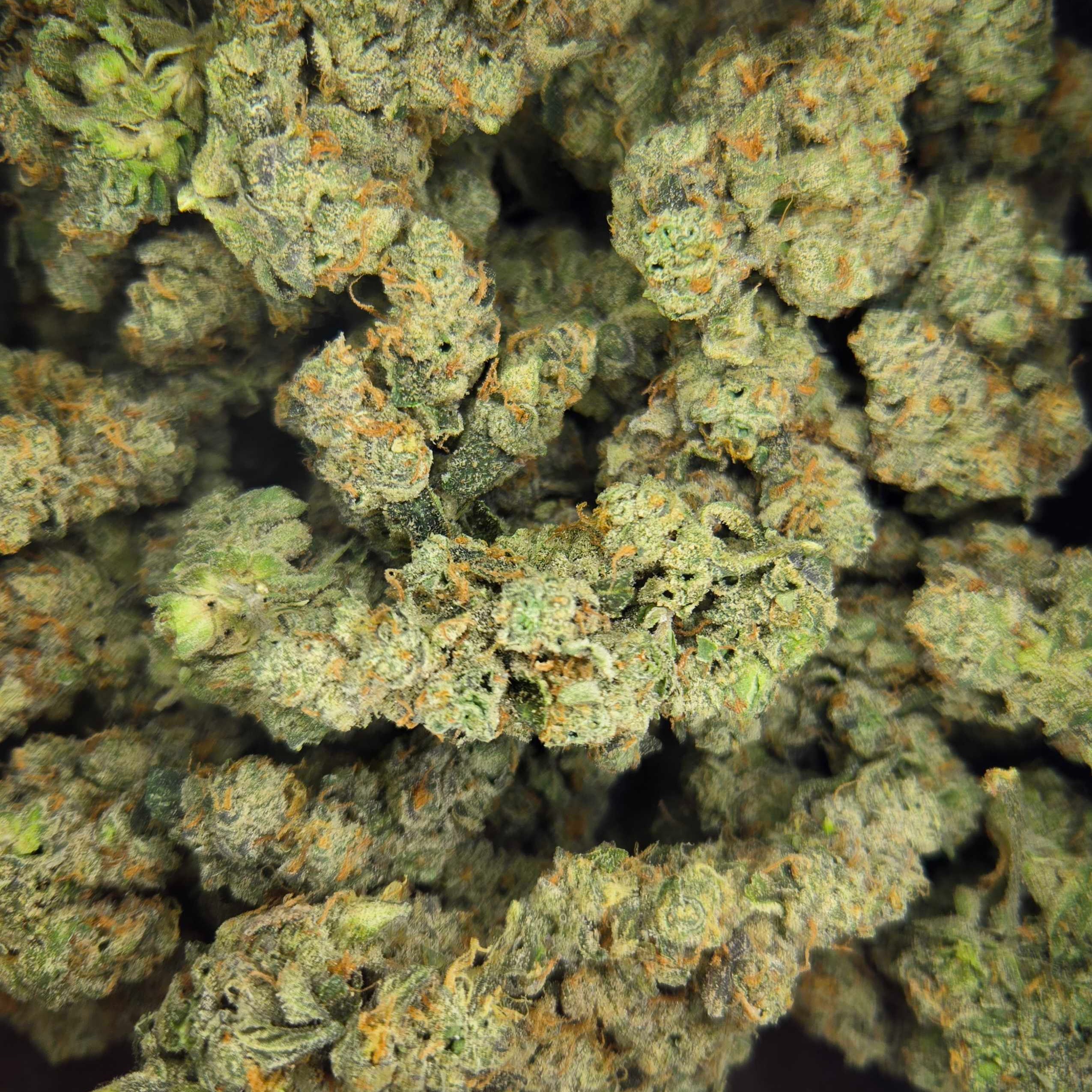 NUGZ FARM: Cobra Milk