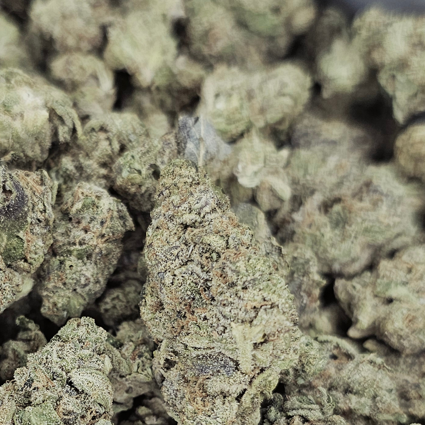 Hecate Gardens: Vanilla Cream Pie