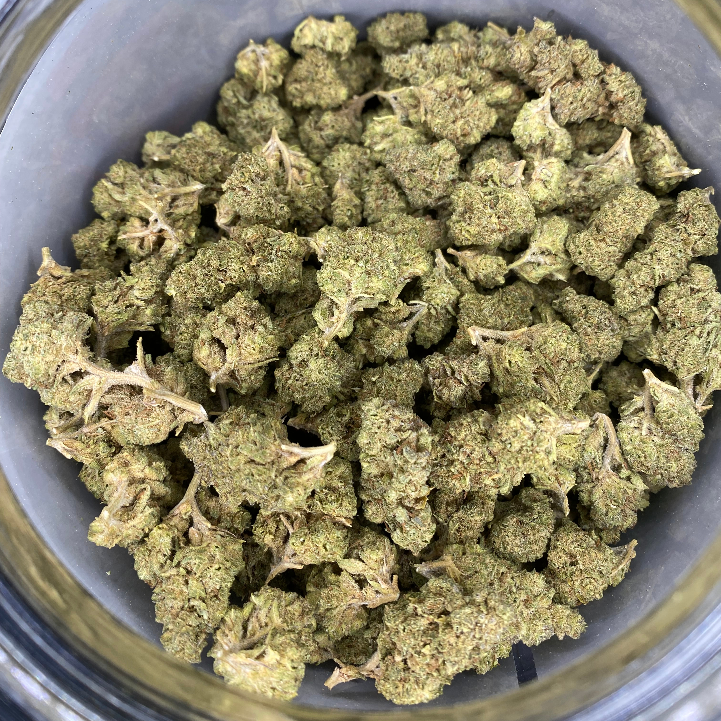 Trellis Farms: Tropicanna Hashplant