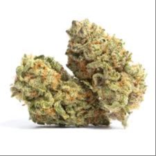Oregrown: Hybrid - Gasalina