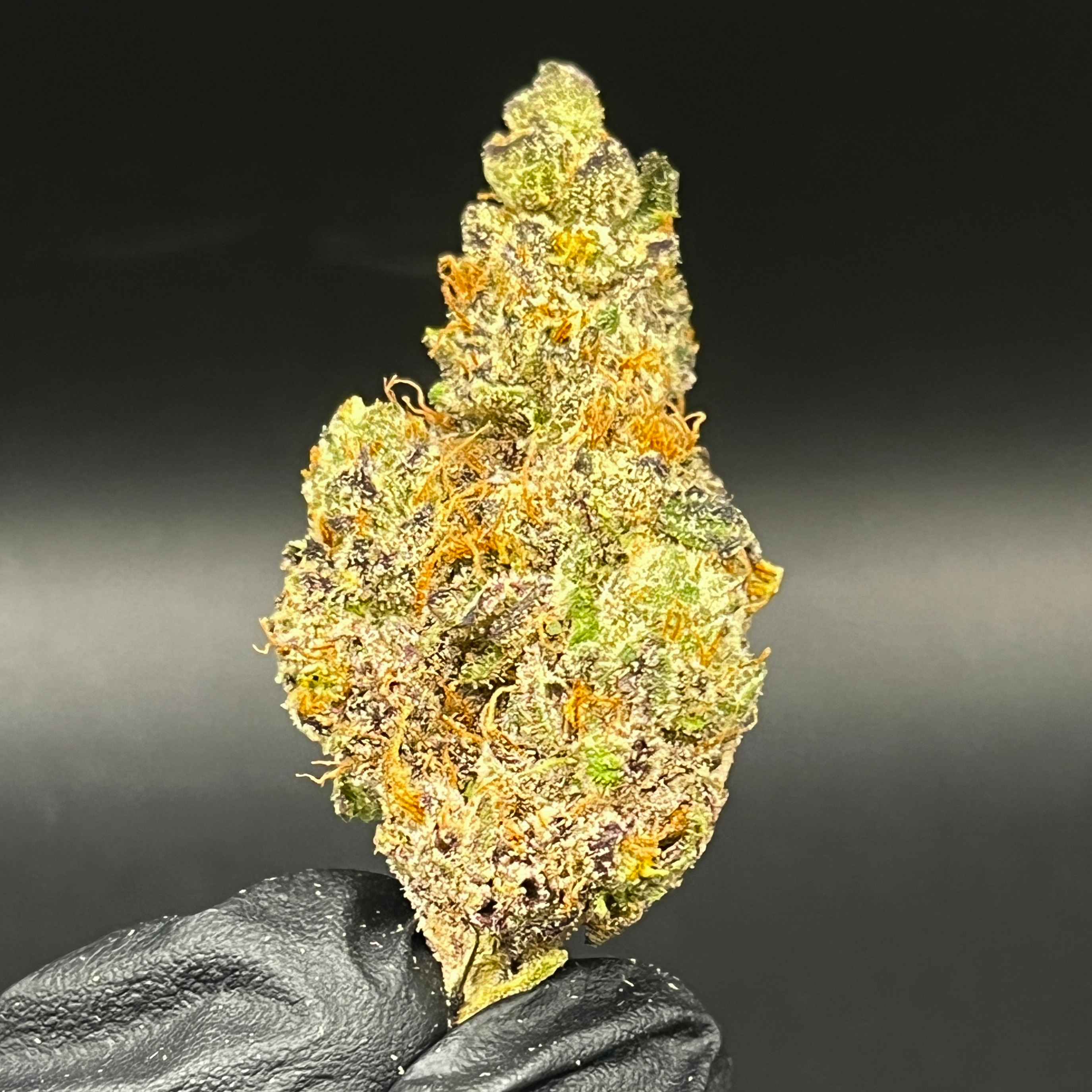 Highly Cultivated: Apple Gas