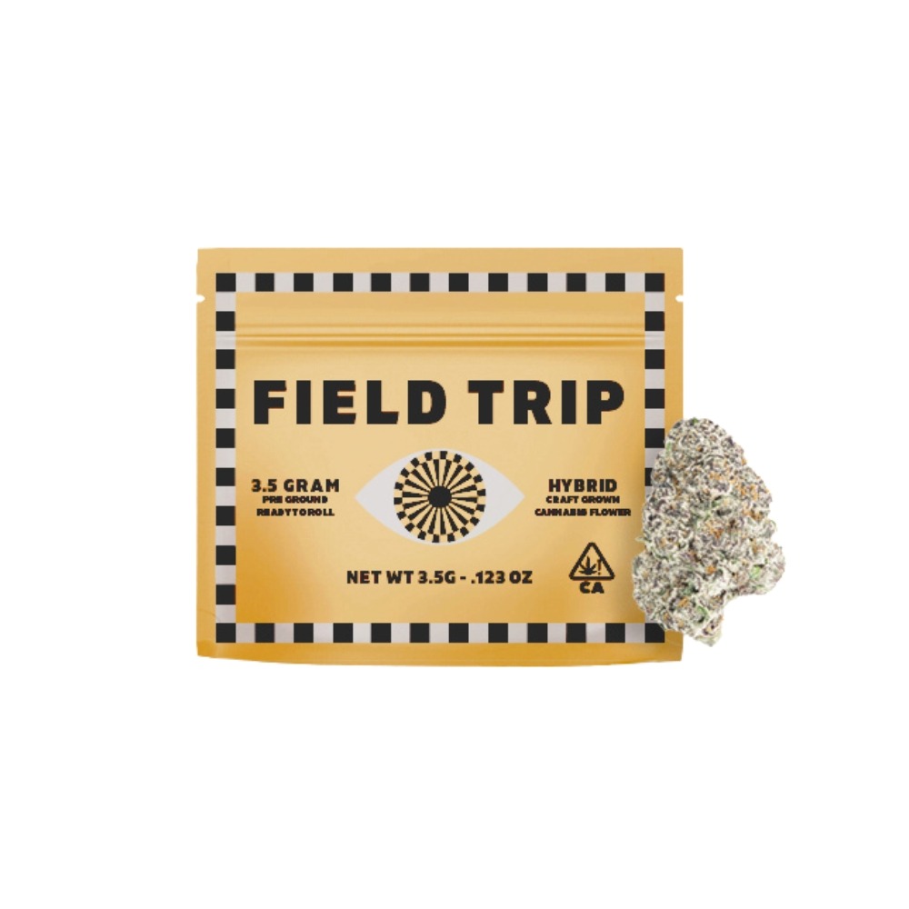 Field Trip: Electric Lemonade