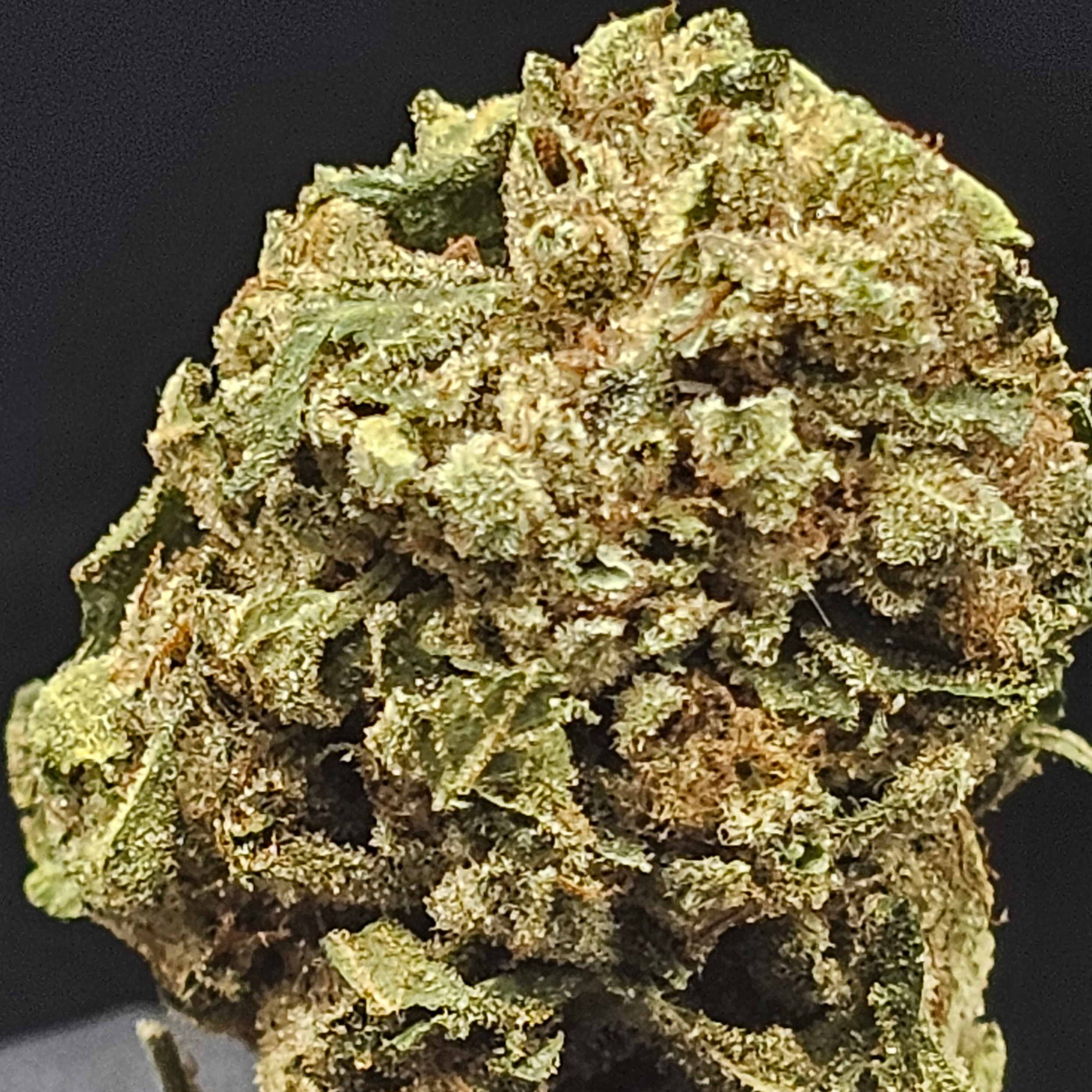 Gorge Grown: Original Glue