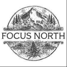Focus North: Wedding Pie