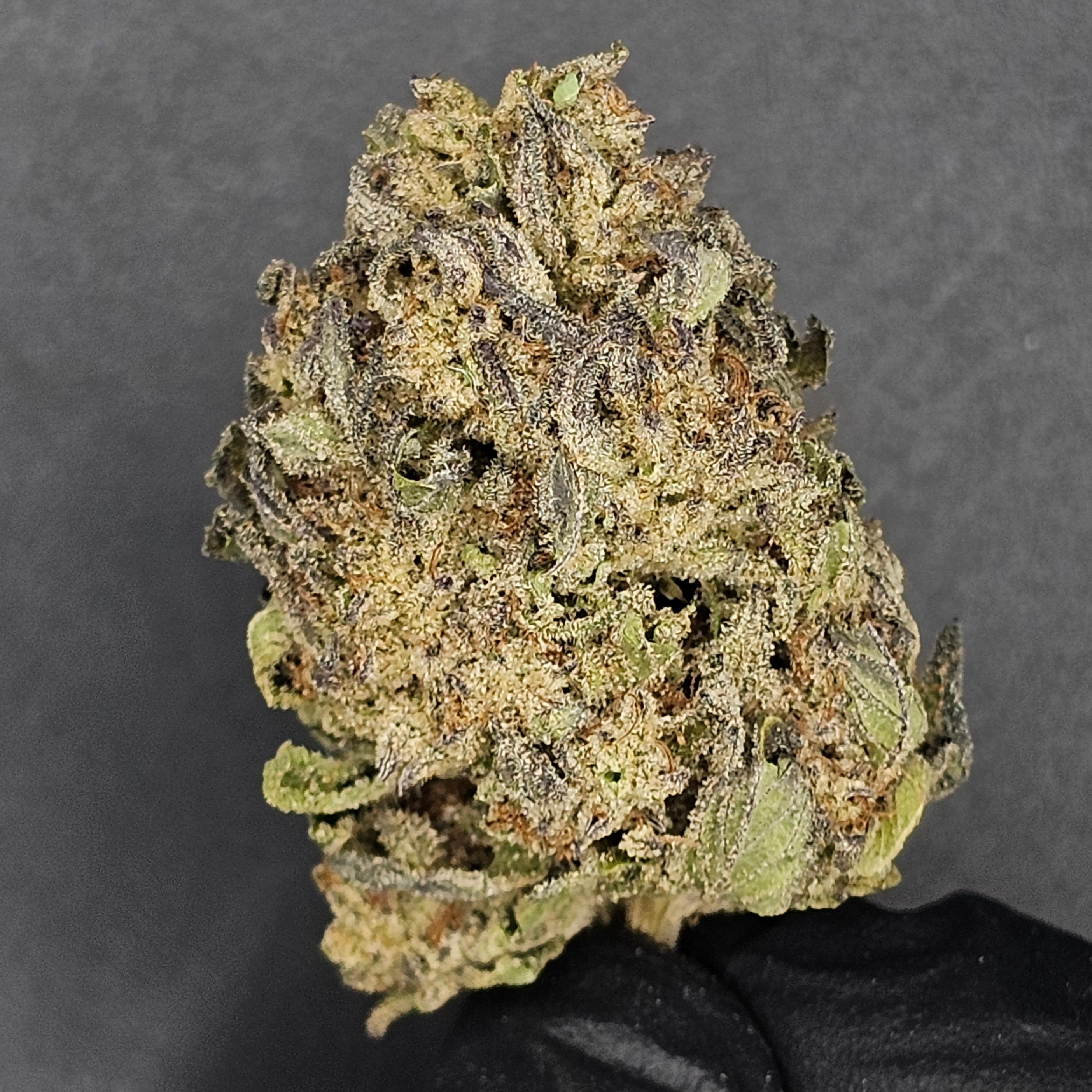 Gorge Grown: Oreoz