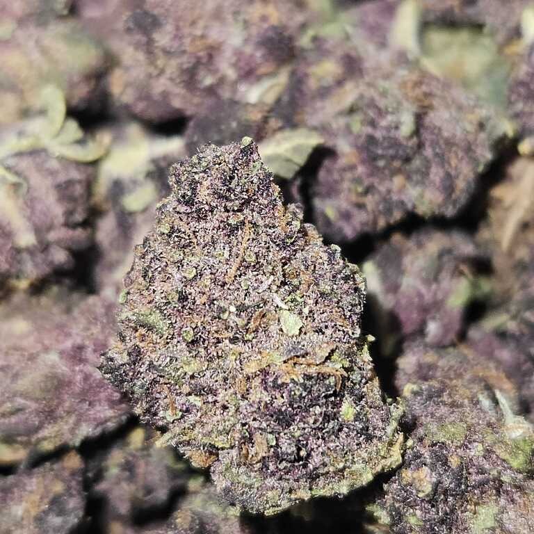 Mother Magnolia Cannabis Co.: Twangie Bbuds By Mother Magnolia