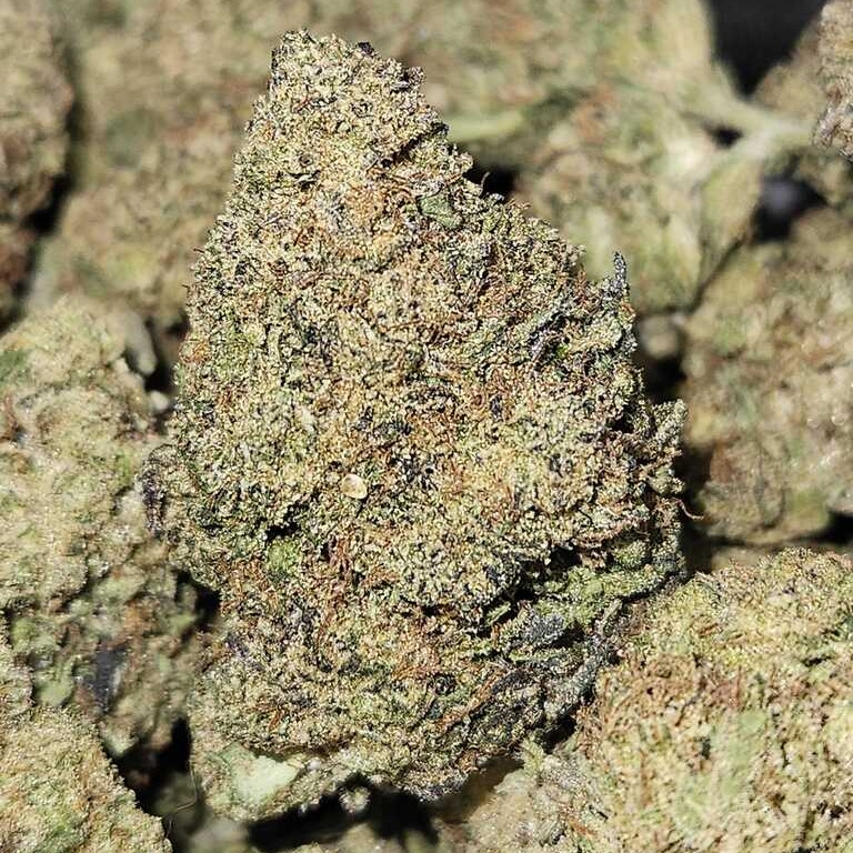 Left Coast Extracts: Space Station