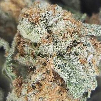 Thunder Farms: Astronaut Bbuds By Thunder Farms