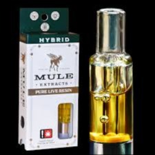 Mule Extracts: Pure Glass Car - Daily Grape X Hindu Dakini