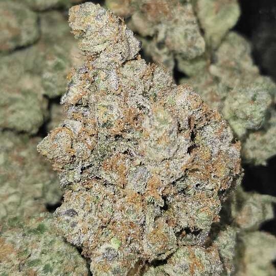 NUGZ FARM: Garlic Crusher By Nugz