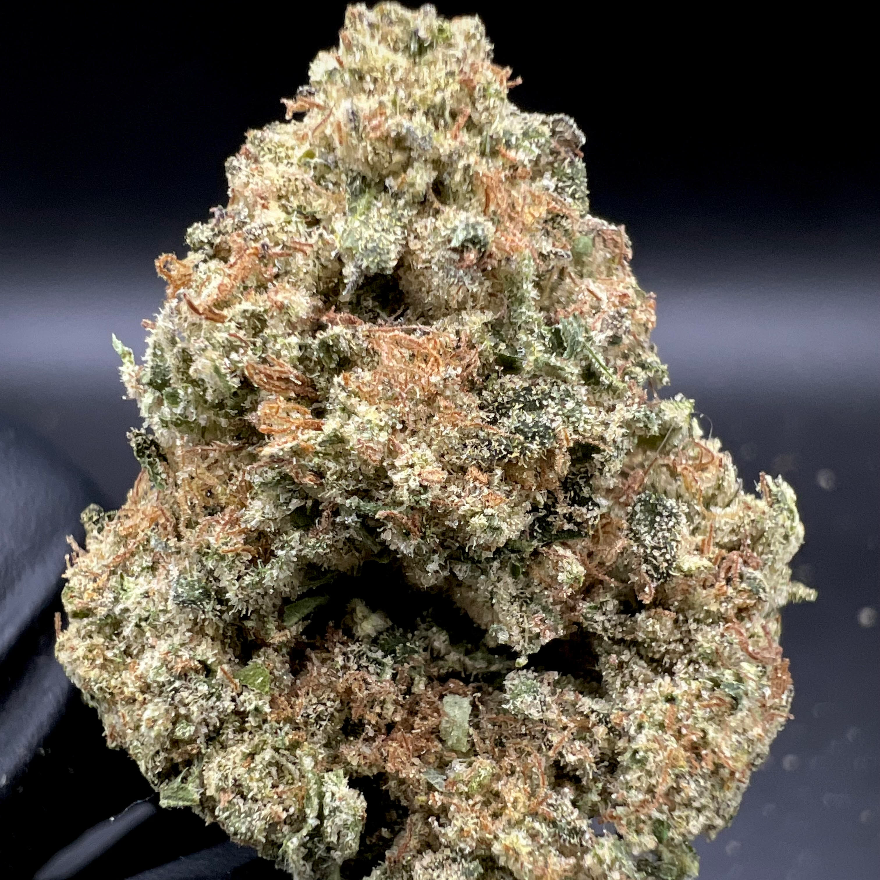 Williams Wonder Farms: Violet Fog