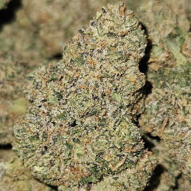 Rosebud Growers: Banana Cream OG
