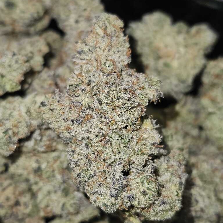 NUGZ FARM: Frozen Unicorn
