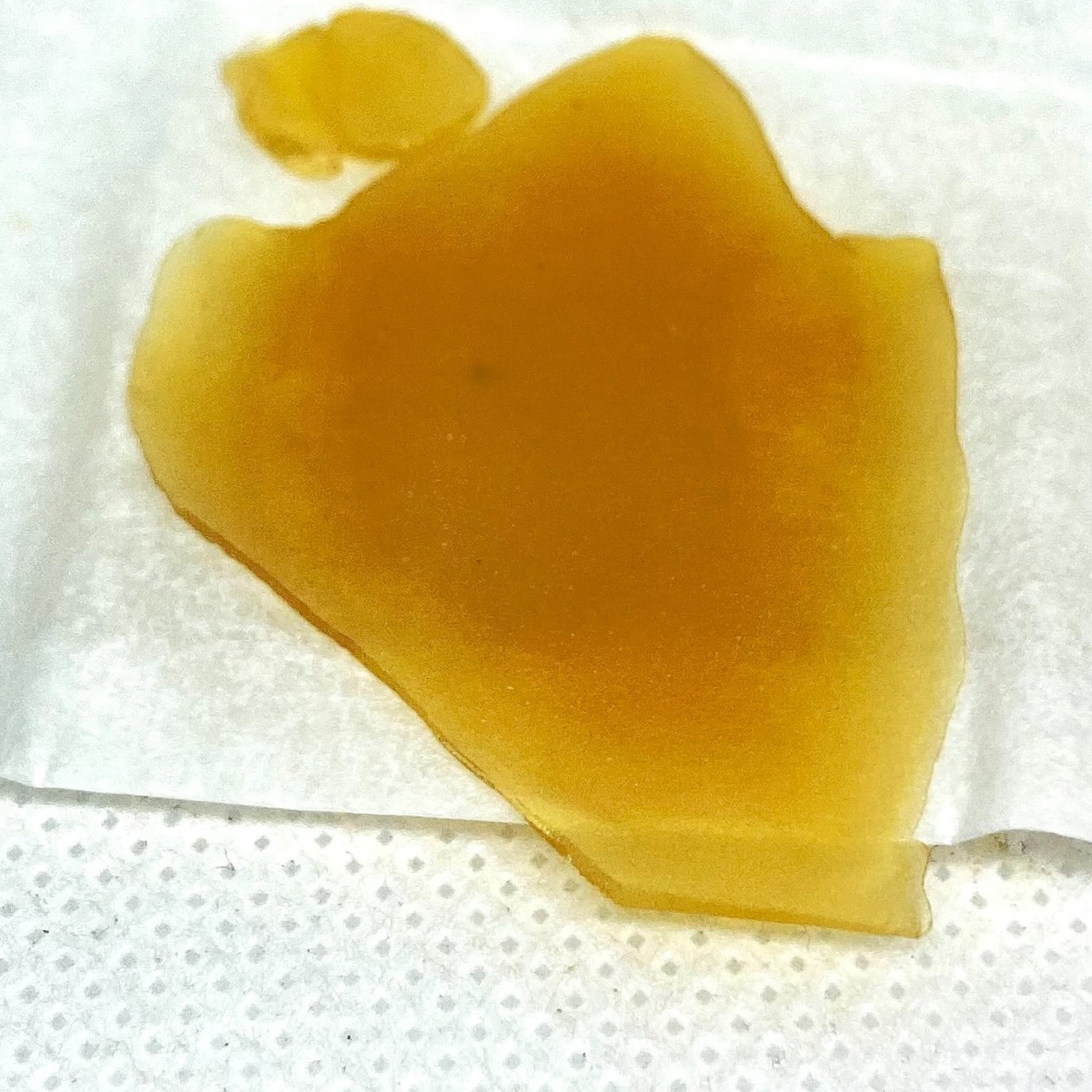 Disco Dabs: GMO