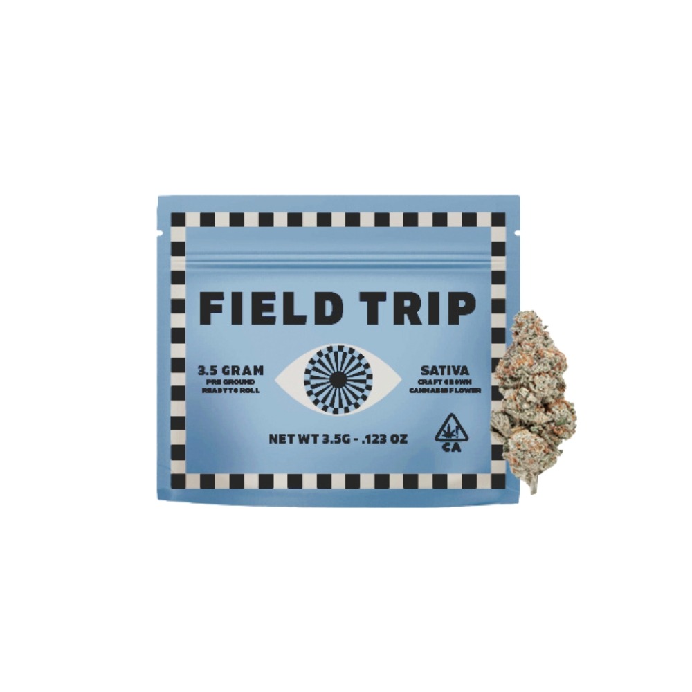 Field Trip: Lemon Squeezy - Ground