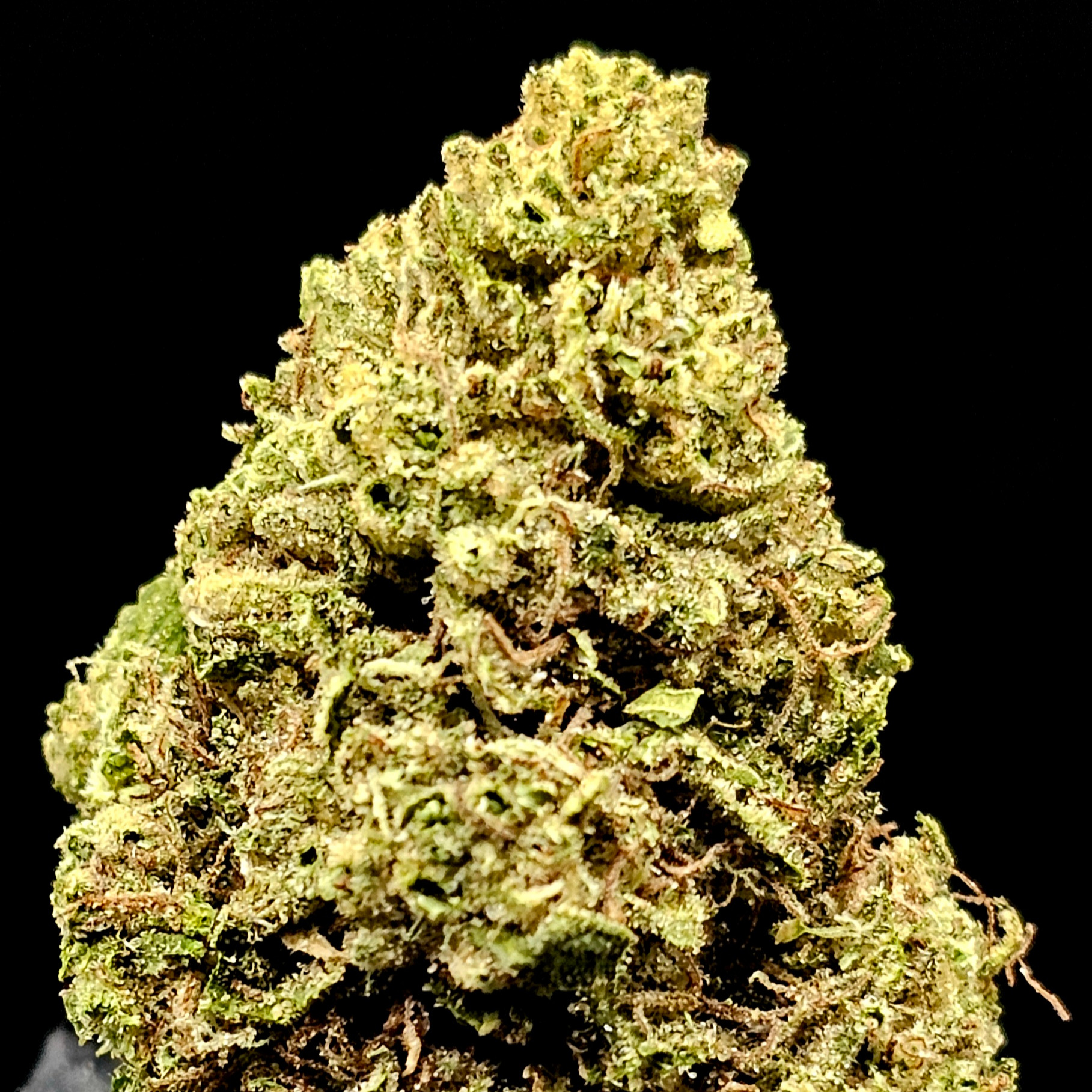 Kerby Kush Farms: Detroit Runtz