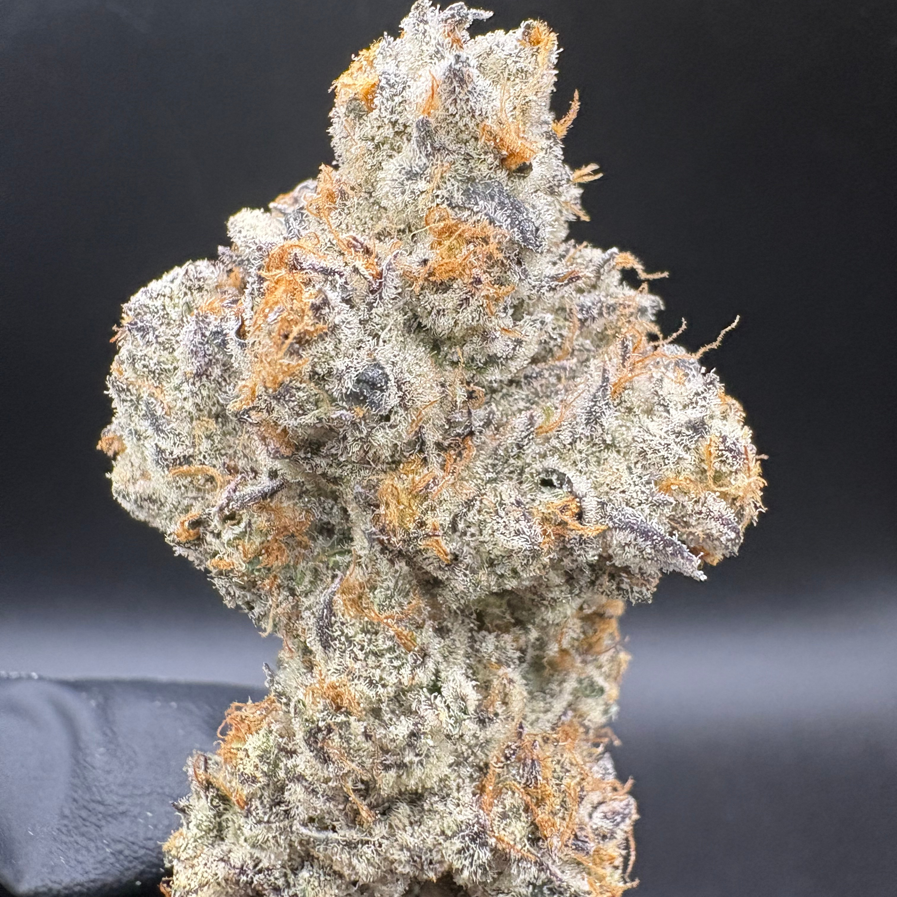Resin Ranchers: Dante S Inferno