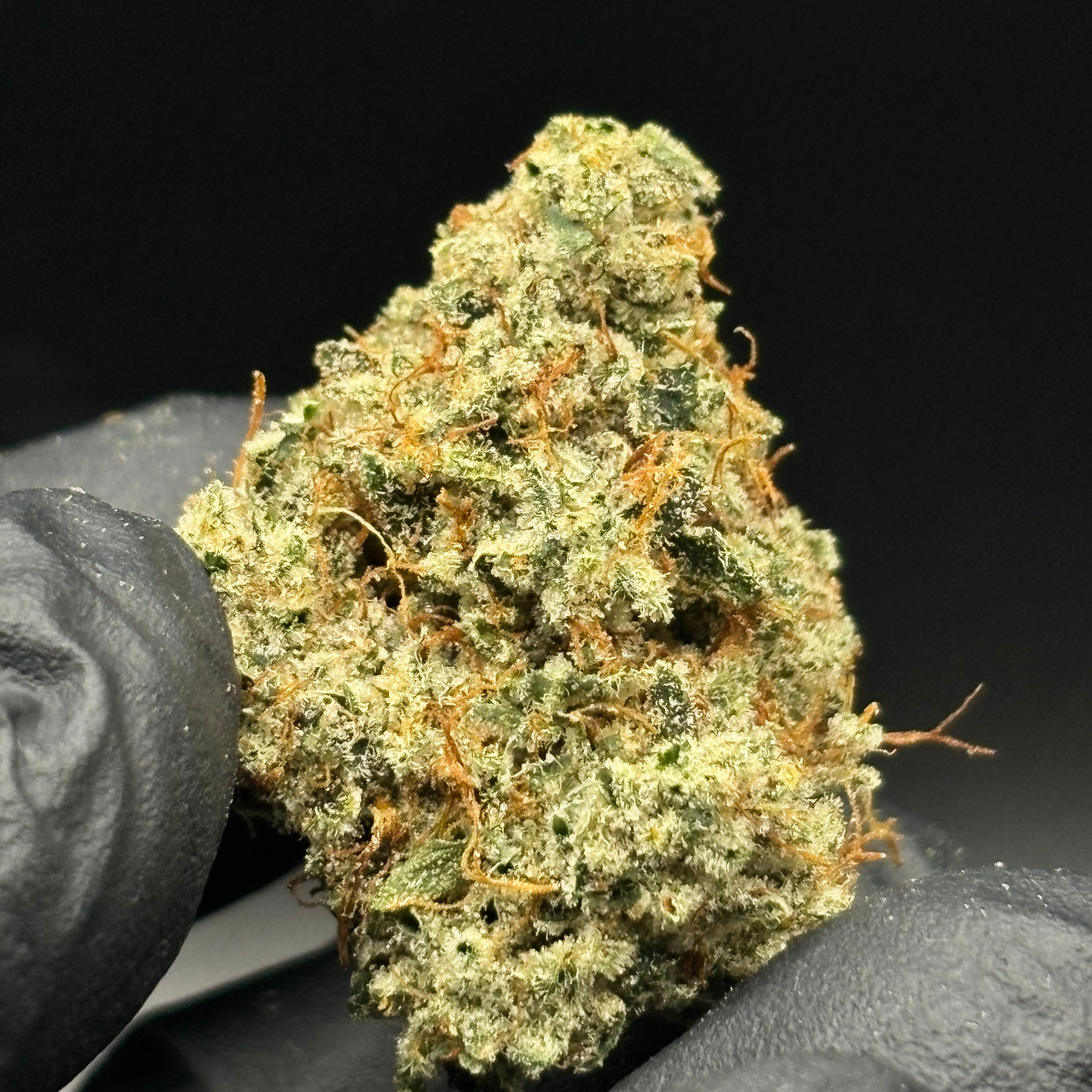 Focus North: Chem Wrecker
