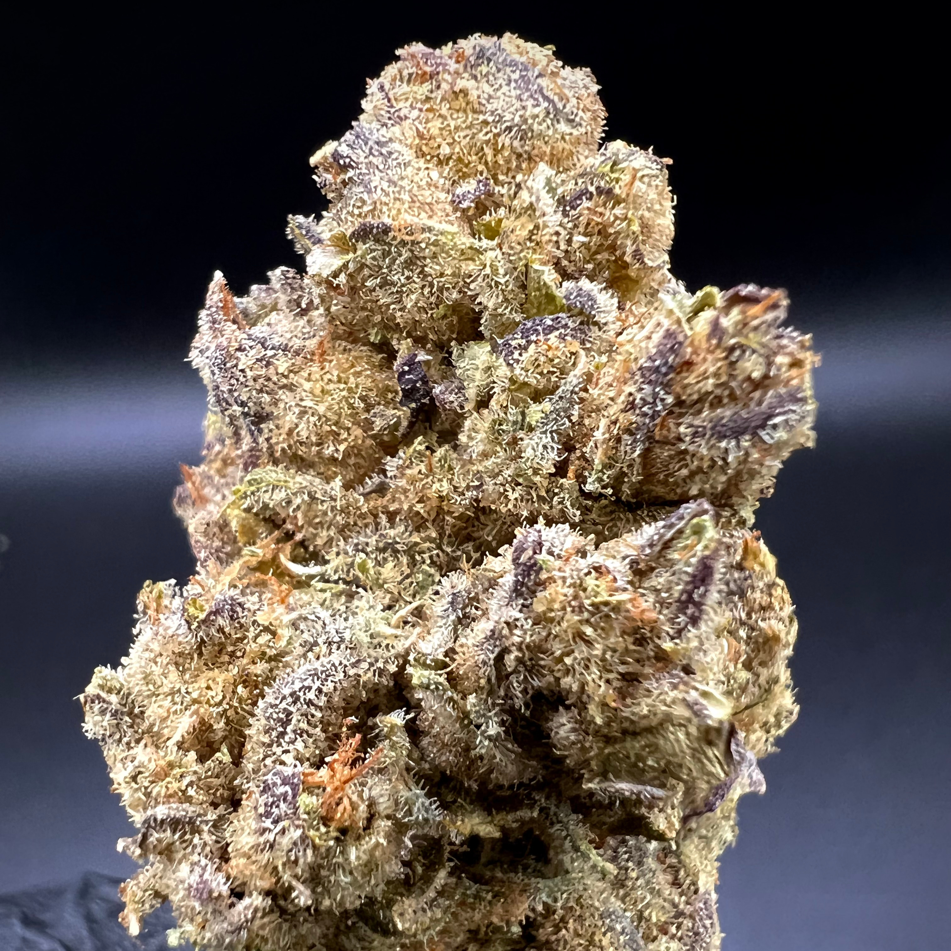 Oregon Roots: Dosi Sherbert