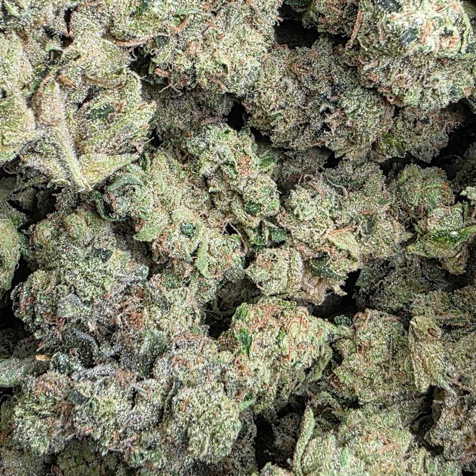 Oregrown: Old Dirty Zastard Odz