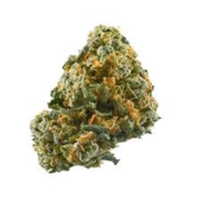 Applegate River Roots: Apricot Gelato