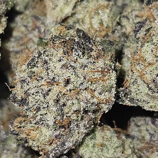 Upcountry: Detective Bernard