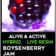 Freshy: Flr Boysenberry Flavored