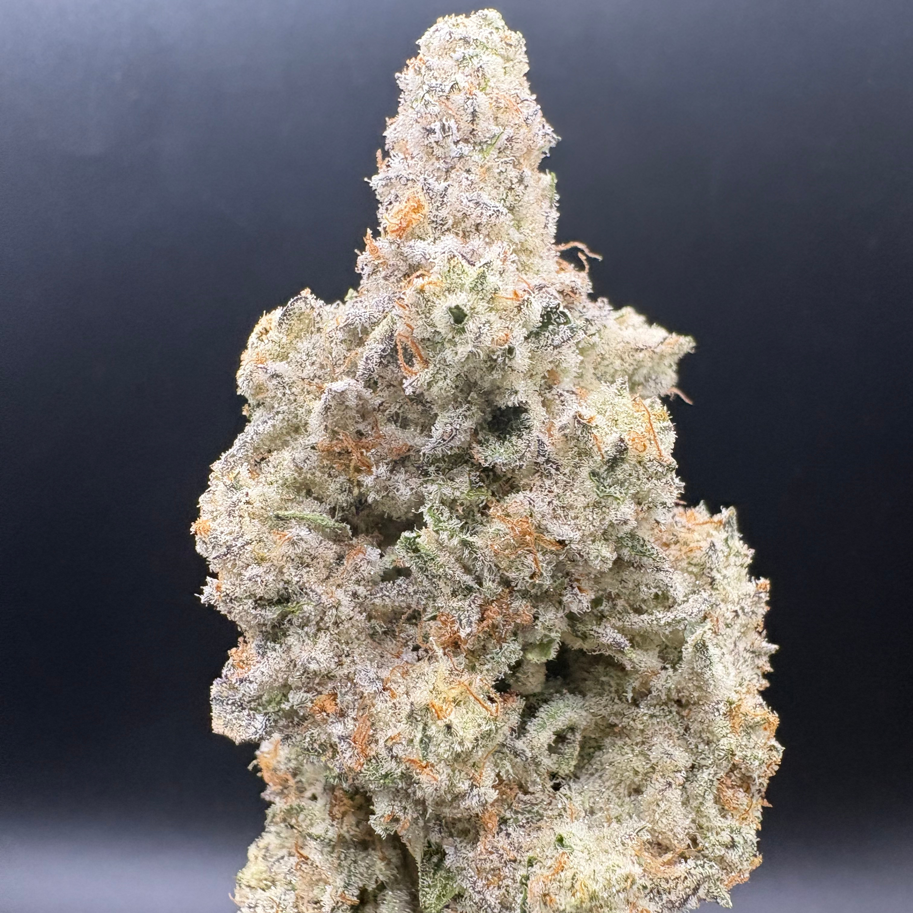 Resin Rancher's: Cap Junky