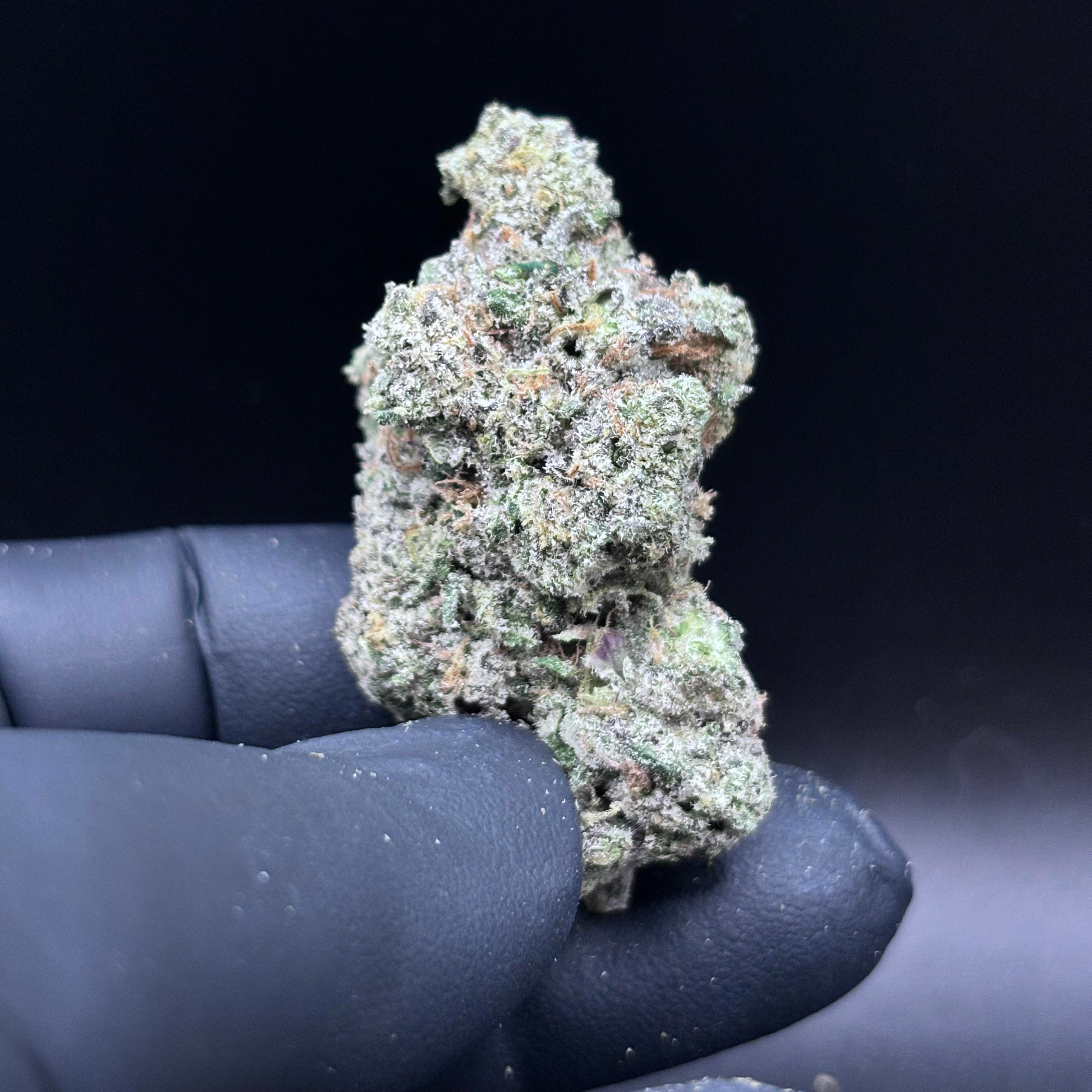 Highly Cultivated: Candied Peachez