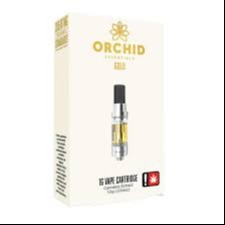 Orchid Essentials: Malibu Mirage